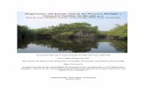 Diagnóstico del Estado Actual del Recurso Manglar Consumo ... · de 1979, 1990, 2000 y 2007 para determinar el grado de deterioro o mejoramiento en la salud del ecosistema manglar