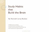 Study Habits that Build the Brain - OpenStax CNXstudy. Last Modified: 3/8/2009 Brain Learning Principles 1. Dendrites, synapses, and neural networks grow only from what is already
