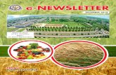 E-Newsletter December 2018 - Dr. Rajendra Prasad Central … · 2019-01-28 · Agricultural Exhibition Stall at Asian Fame Sonpur Mela from 28.11.2018 to 22.12.2018. Various farmers