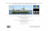 Offshore bat and Bird Activity at the Lake Michigan …Offshore Bat and Bird Activity at the Lake Michigan Mid-lake Plateau, – Considerations for Wind Energy Development Prepared
