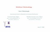 Multilevel Methodology...• Implementation via PROC MIXED Multilevel Methodology 13 2.1.1 Example: the Belgian Health Interview Survey • Implementation of the basic, SRS analysis