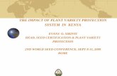THE IMPACT OF PLANT VARIETY PROTECTION SYSTEM IN KENYA · the impact of plant variety protection system in kenya evans o. sikinyi head, seed certification & plant variety protection