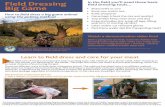 Field Dressing Big Game - How to field dress a big game ...Title: Field Dressing Big Game - How to field dress a big game animal using the gutless method Author: Alaska Department