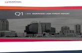 2018 MORPHISEC LABS THREAT REPORT · that evolve quickly, especially those that are architected to apply speed to inﬁ ltration, and conceal methods of data exﬁ ltration. As added