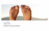 Diabetic Foot Ulcer Ecosystem - STS Roundtable...Diabetic Foot Ulcer (DFU) infection ecosystem study Study outputs • One detailed service ecosystem map of patient, practitioner,