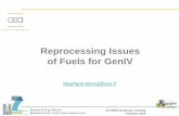Reprocessing Issues of Fuels for GenIV · 2011-02-18 · Reprocessing Issues of Fuels for GenIV Stephane.Bourg@cea.fr . Nuclear Energy Division ... Thermal power Cooling 1 year 10