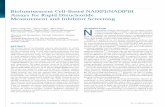 Bioluminescent Cell-Based NAD(P)/NAD(P)H …...Bioluminescent Cell-Based NAD(P)/NAD(P)H Assays for Rapid Dinucleotide Measurement and Inhibitor Screening Jolanta Vidugiriene,1 Donna