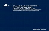 2020 OIL AND GAS EXPLORATION & PRODUCTION (E&P ... · 2020 oil and gas exploration & production (e&p) compensation report 1 1 For an analysis of the top oil and gas oilfield services