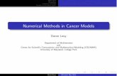 Numerical Methods in Cancer ModelsNumerical Methods in Cancer Models Doron Levy Department of Mathematics and Center for Scientiﬁc Computation and Mathematical Modeling (CSCAMM)