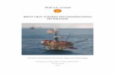 Brent Field Topsides DP TC · 2018-08-06 · 7.6.2 Impacts of Offshore Operations ... Figure 14 Top of the Brent Alpha Jacket after the Removal of the Topside ... The Brent Alpha