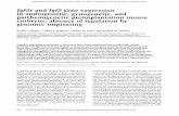 Igf2r and Igf2 gene expression parthenogenetic preimplantation mousegenesdev.cshlp.org/content/8/3/290.full.pdf · 2007-04-26 · intron, is also established during oogenesis, but