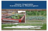 Home Vegetable Gardening in Washington · Companion Planting ... Garlic Horseradish** Kale Kohlrabi Leek Lettuce Mustard Onion Parsley Parsnip Pea Potato Radish Rhubarb** Salsify