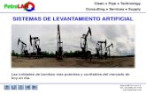 SISTEMAS DE LEVANTAMIENTO ARTIFICIAL - PetroLAMpetrolam.com/assets/sentry.pdf · Clean Pipe Technology Consulting Services Supply PetroLAM S.A. de C.V. Tel. +52 (833) 214 1704 SISTEMAS
