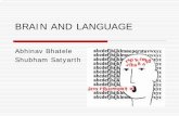BRAIN AND LANGUAGE · BRAIN AND LANGUAGE Abhinav Bhatele Shubham Satyarth. Specific Language Impairment. Introduction It is a language deficit which is not accompanied by hearing