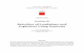 Detection of Landmines and Explosives Using Detection of Landmines and Explosives Using Neutrons ...