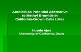 Acrolein as Potential Alternative to Methyl Bromide in ...Acrolein as Potential Alternative to Methyl Bromide in California-Grown Calla Lilies Researchers: Susanne Klose (PI) Husein