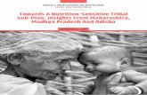 Towards A Nutrition-Sensitive Tribal Sub-Plan: Insights ...Towards A Nutrition-Sensitive Tribal Sub-Plan: Insights From Maharashtra, Madhya Pradesh And Odisha Working Paper 3 | 2017
