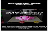 The Winston Churchill Memorial Trust of Australia · 2015-06-29 · THE WINSTON CHURCHILL MEMORIAL TRUST OF AUSTRALIA ... Technical education on the other hand is the term applied