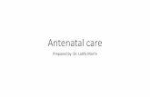 Antenatal care · 2019-11-29 · considered at antenatal care visits when assessing conditions that may be caused or complicated by IPV in order to improve clinical diagnosis and