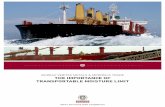 BUREAU VERITAS METALS & MINERALS TRADE THE … · 2019-07-05 · The International Maritime Solid Bulk Cargoes Code (IMSBC) makes recommendations about cargoes that may liquefy. The