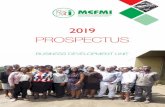 PROSPECTUS - mefmi.orgmefmi.org/wp-content/uploads/2018/12/MEFMI-BDU-Prospectus-2019.pdf · Southern Africa Initiative in Debt and Reserves Management (ESAIDARM) with a mandate to