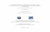 ATTENTIONAL MODULATION AND PLASTICITY IN …...Attentional modulation and plasticity in the human sensory system – 2 2 aspects of neural plasticity. The first thesis focuses on the