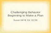 Challenging Behavior Beginning to Make a Plan · • Challenging behavior is most often a way of communicating distress in infants and toddlers. • We have to respond to challenging