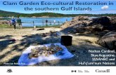 Clam Garden Eco-cultural Restoration in the southern Gulf ... · Contemporary & Desired Use of Traditional Resources in a Coast Salish Community: Implications for Food Security and