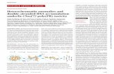 NEURODEGENERATION Heterochromatin anomalies and double ... · RESEARCH ARTICLE NEURODEGENERATION Heterochromatin anomalies and double-stranded RNA accumulation underlieC9orf72poly(PR)toxicity