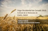 Trigo Occidental de Canadá 2019 · 2019-11-15 · Canadian International Grains Institute Trigo Occidental de Canadá 2019 Norbert Cabral Calidad de la Molienda de CWRS, CWAD