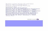 Alcatel-Lucent Group Life Insurance Plan for Retired Employees; … · 2019-11-19 · Alcatel-Lucent Life Insurance Plans for Retired Employees CONTENTS PAGE i January 1, 2010 This