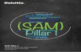 SAM Pillar 1 Requirements for Solo Insurers and Insurance ... · (SAM) for solo insurers and insurance groups. Introduction 1 Overview of SAM 2 Roles and responsibilities 4 SAM Balance