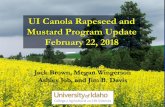 UI Canola Rapeseed and Mustard Program Update February …css.wsu.edu/oilseeds/files/2018/03/WOCS-Review-UI-Update-2018-J-Davis.pdfDeveloping non-food grade Brassica biofuel feedstock