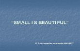 “SMALL IS BEAUTIFUL” · “SMALL IS BEAUTIFUL” E. F. Schumacher, economist 1911-1977. Nutrition Education For Wellness NUTRITION EDUCATION FOR WELLNESS (NEW) is a statewide