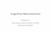 Cognitive Neuroscience - KAISTraphe.kaist.ac.kr/lecture/2015fallbis451/ch2 Structure... · 2015-11-17 · based on stimuli in their environment. Channels can be altered or modulated