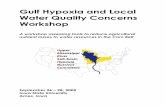 Gulf Hypoxia and Local Water Quality Concerns Workshop · 2015-07-28 · Gulf Hypoxia and Local Water Quality Concerns Workshop A workshop assessing tools to reduce agricultural nutrient