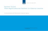 Sector Scan The Agricultural Sector in Sierra Leone · The Sierra Leone Netherlands Business and Culture Council (SLNBCC) is an afﬁliate of the GNBCC, Ghana. The SLNBCC has been