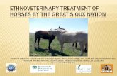Ethnoveterinary treatment of horses by the great …...ETHNOVETERINARY TREATMENT OF HORSES BY THE GREAT SIOUX NATION Sunshine Claymore, Environmental Science Program, Sitting Bull
