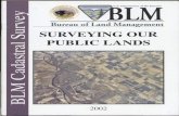 SURVEYING OUR PUBLIC LANDS - Bureau of Land Management · lund surveying were significant in consolidming and organi zing lund and survey records. Later as a Surveyor Gencml. he designed