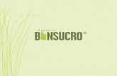 A guide to - Bonsucro · 4 5 Bonsucro is a multi-stakeholder non-profit organisationglobal dedicated to reducing the environmental and social impacts sugarcane production of while