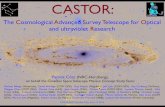 CASCA 2014 v4casca.ca/wp-content/uploads/2014/07/CASTOR.pdfWhat is CASTOR? •CASTOR: Cosmological Advanced Survey Telescope for Optical and UV Research. •CASTOR is a proposed flagship