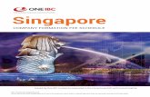 International Corporate Services Provider Singapore...Singapore business due to the large market and business opportunities. Located in the heart of Singapore - 1 Raffles Place, #40-02,