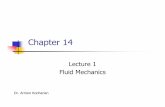 Chapter 14 Lecture - Santa Monica Collegehomepage.smc.edu/kocharian_armen/Physics23/Chapter_Fluid.pdfChapter 14 Lecture 1 Fluid Mechanics Dr. Armen Kocharian. States of Matter ...
