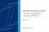 DANAHER BUSINESS SYSTEMfilecache.investorroom.com/mr5ir_danaher/507/Danaher DBS...1984 1991 1999 2001 2003 2005 2007 2009 2011 2013 2015 2017E Evolution of the Danaher Business System