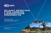 PLANT SPECIES FOR URBAN LANDSCAPE PROJECTS · Infrastructure Standard (MIS) includes technical requirements that conflict with this MIS, consult with the service authority and TCCS