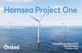 Hornsea Project One to provide the recipient with access to any additional information or to update
