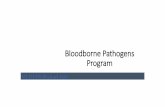 Bloodborne Pathogens Program · • Ayurveda takes a holistic and natural approach while addressing hepatitis, customized to individual requirements. Hepatitis causes derangement