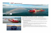 TSHD IHC BEAGLE STANDARDISED TRAILING …...Once the dredger has been delivered to the customer, IHC provides high-quality services and global support. We help customers to operate