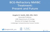 BCG-Refractory NMIBC Treatment: Present and Future...•Further data demonstrate that BCG-IFN no more effective than BCG alone1 •Response rate at 24 months 23% for truly BCG unresponsive