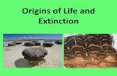 Speciation and Extinction of Life...Five Major Extinctions •Ordovician-Silurian – wiped out 85% sea life, blamed on an ice age •Late Devonian – wiped out 75% of ALL species,